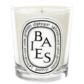 Diptyque Baies Scented Mini Candle, 70g - Sense42 Beauty and Health