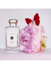 Jo Malone London Peony & Blush Suede Cologne, 100ml - Sense42 Beauty and Health