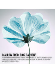 DIOR Hydra Life Balancing Hydration - 2-in-1 Sorbet Water, 175ml - Sense42 Beauty and Health