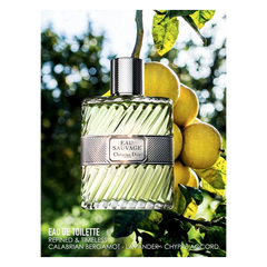 Dior Eau Sauvage Eau De Toilette Spray 50ml - Sense42 Beauty and Health