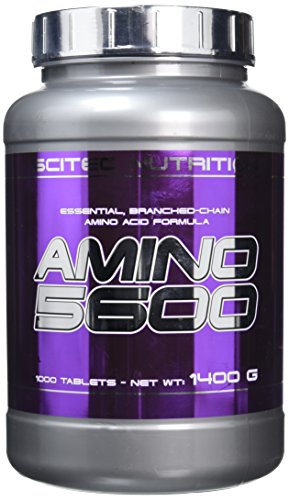 Scitec Nutrition Amino 5600 Amino Acid Formula Tablets - 1000 Tabs - Sense42 Beauty and Health