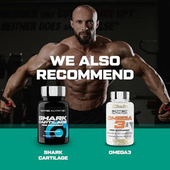 SciTec Arthroxon Plus - 108 caps (EAN 5999100029408) - Sense42 Beauty and Health