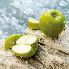 DOLCE & GABBANA Light Blue Set (Eau de Toilette 50ml + Body Cream 50ml) - Sense42 Beauty and Health