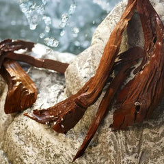 DOLCE & GABBANA Light Blue Set (Eau de Toilette 50ml + Body Cream 50ml) - Sense42 Beauty and Health