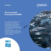 Osavi Super Strong Omega–3 500 EPA / 250 DHA – 120 Softgels - Sense42 Beauty and Health