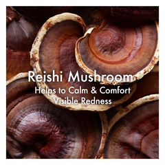 Origins Mega-Mushroom Relief & Resilience Advanced Face Serum - Sense42 Beauty and Health