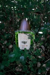 Pino Silvestre Acqua di Pino Fougere Eau de Toilette 125ml Spray - Sense42 Beauty and Health