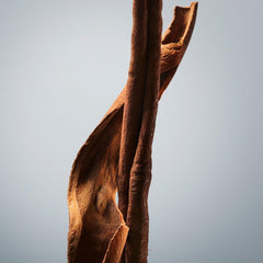 Hugo Boss Boss Bottled Deodorant Stick 75g - Sense42 Beauty and Health