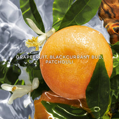 GUERLAIN Aqua Allegoria Pamplelune - Sense42 Beauty and Health