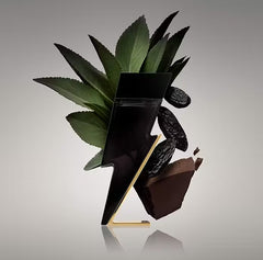 Carolina Herrera Bad Boy Eau de Toilette 100ml Spray - Sense42 Beauty and Health