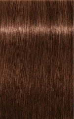 Schwarzkopf Professional IGORA Royal - shade 6-68 Dark Brown Chocolate Red 60 ml - Sense42 Beauty and Health