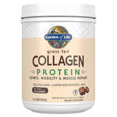 Grass Fed Collagen Protein, Chocolate - 588g - Sense42 Beauty and Health