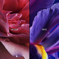 GUERLAIN L'Initial - Sense42 Beauty and Health