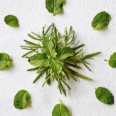 Aveda Rosemary Mint Purifying Shampoo - Sense42 Beauty and Health