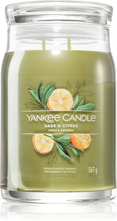 Yankee Candle Sage & Citrus - Sense42 Beauty and Health