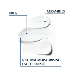 Eucerin Urea Repair 10% Urea Lotion - Sense42 Beauty and Health