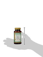 Swanson Agaricus Blazei Mushroom Extract 500 Mg 90 Caps - Sense42 Beauty and Health