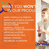 Now Foods Double Strength Black Currant Oil Dietary Supplement, 1000 mg, 100 Softgels - Sense42 Beauty and Health