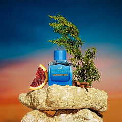 Hollister Canyon Sky For Him Eau de Toilette 3.4oz (100ml) Spray - Sense42 Beauty and Health
