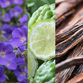 Joop! Wow! Eau de Toilette 100ml Spray - Sense42 Beauty and Health