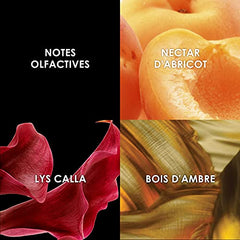 Britney Spears Prerogative Fragrance Body Mist 236ml Spray - Sense42 Beauty and Health