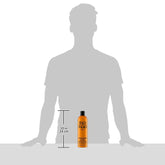 Bed Head by TIGI - Colour Goddess Shampoo - Ideal for Coloured Hair - 750 ml