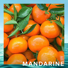 Cristiano Ronaldo CR7 Origins Eau de Toilette 50ml Spray