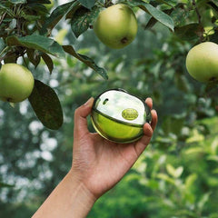 DKNY Be Delicious Eau de Parfum spray - 100ml