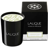 Lalique Candle 190g - Osmanthus Himalaya