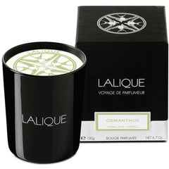 Lalique Candle 190g - Osmanthus Himalaya