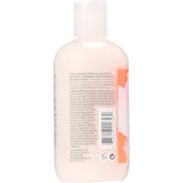 Bumble & Bumble Hairdresser's Invisible Oil Shampoo 250ml