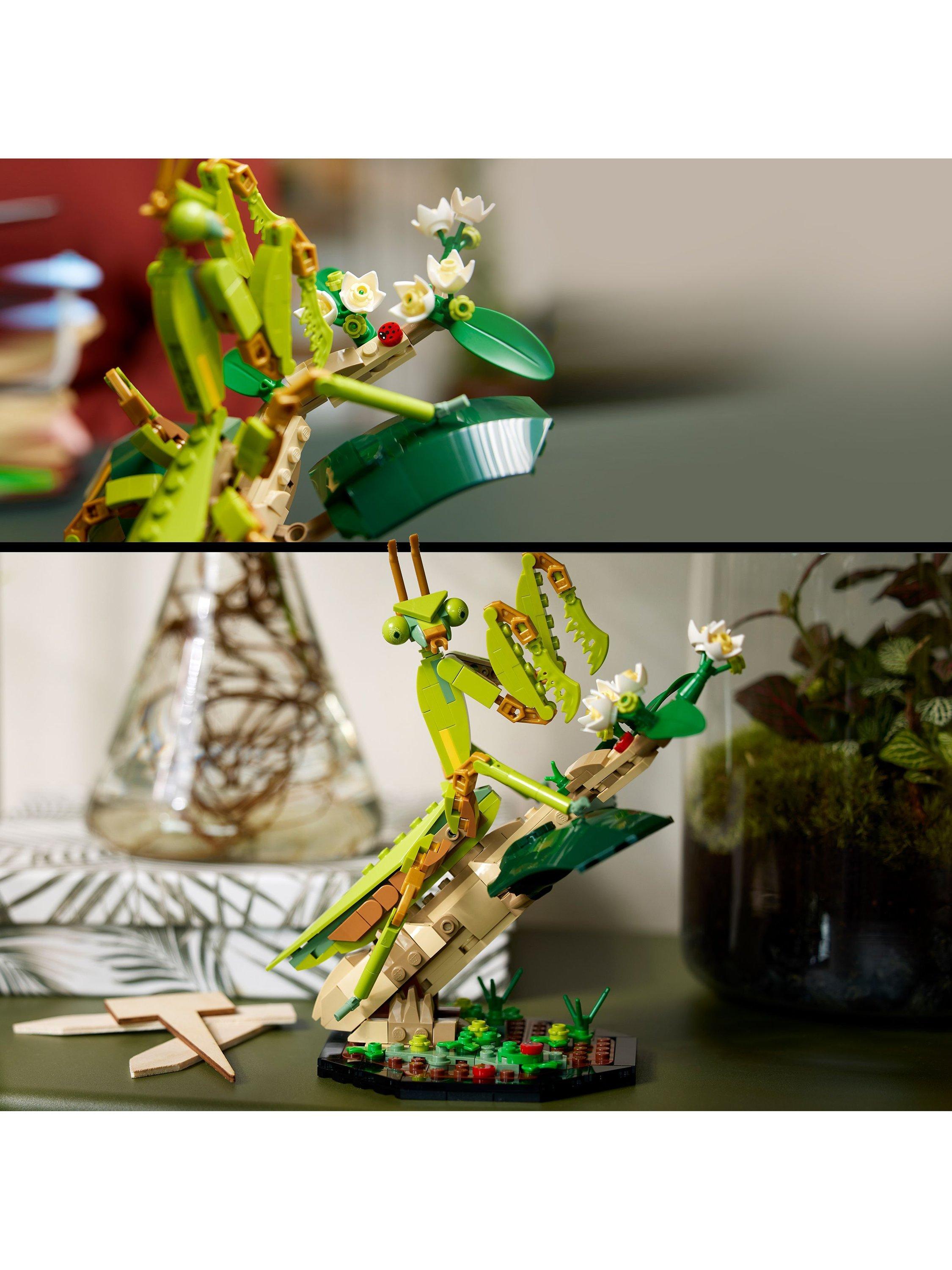 LEGO 21342 The Insect Collection