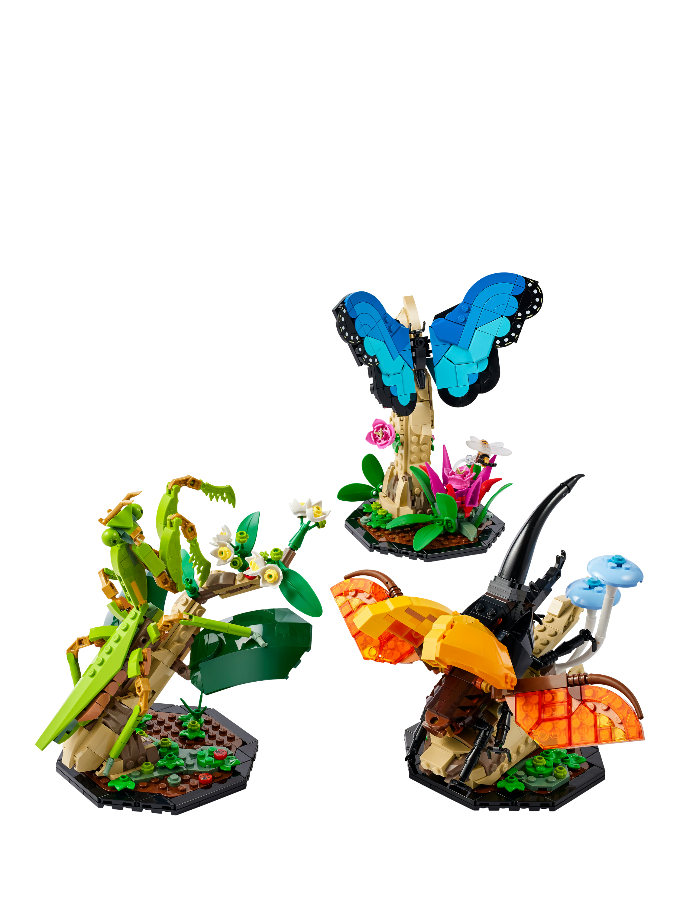 LEGO 21342 The Insect Collection