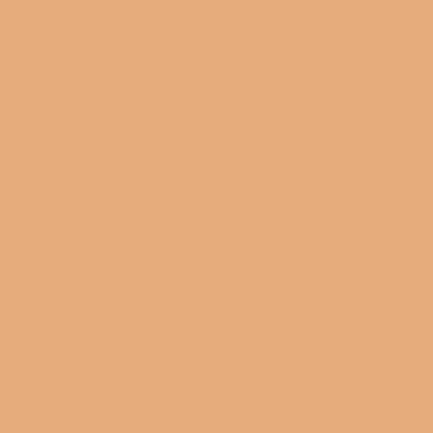 NARS Radiant Creamy Concealer, Ginger