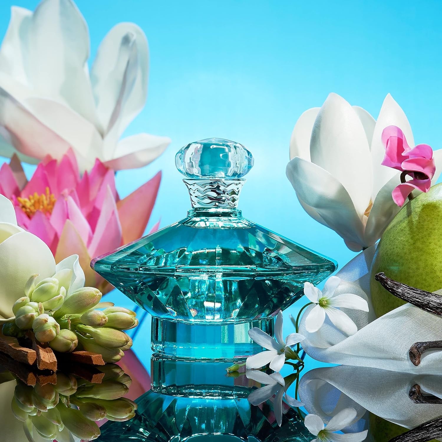 Britney Spears Curious Eau de Parfum 100ml Spray - Sense42 Beauty and Health