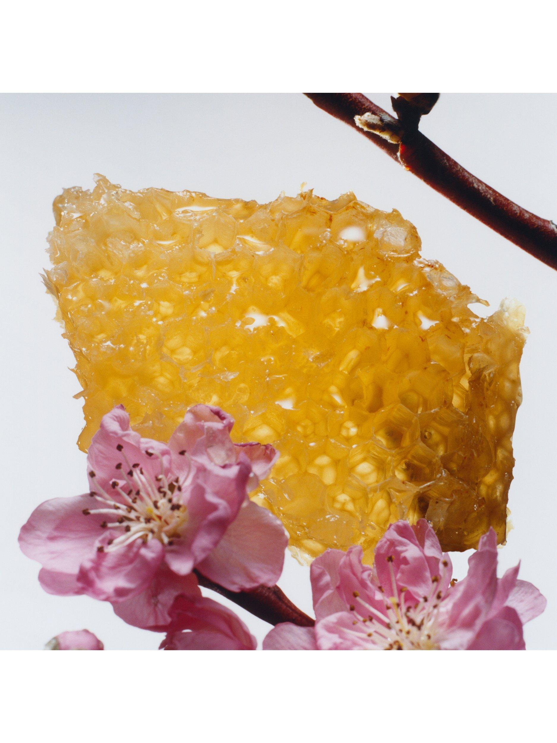 Jo Malone London Nectarine Blossom & Honey Cologne, - Sense42 Beauty and Health
