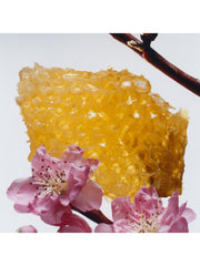 Jo Malone London Nectarine Blossom & Honey Cologne, - Sense42 Beauty and Health