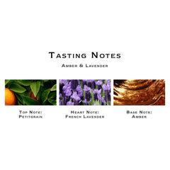 Jo Malone London Amber & Lavender Cologne, 100ml