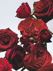 Jo Malone London Red Roses Cologne, 100ml - Sense42 Beauty and Health