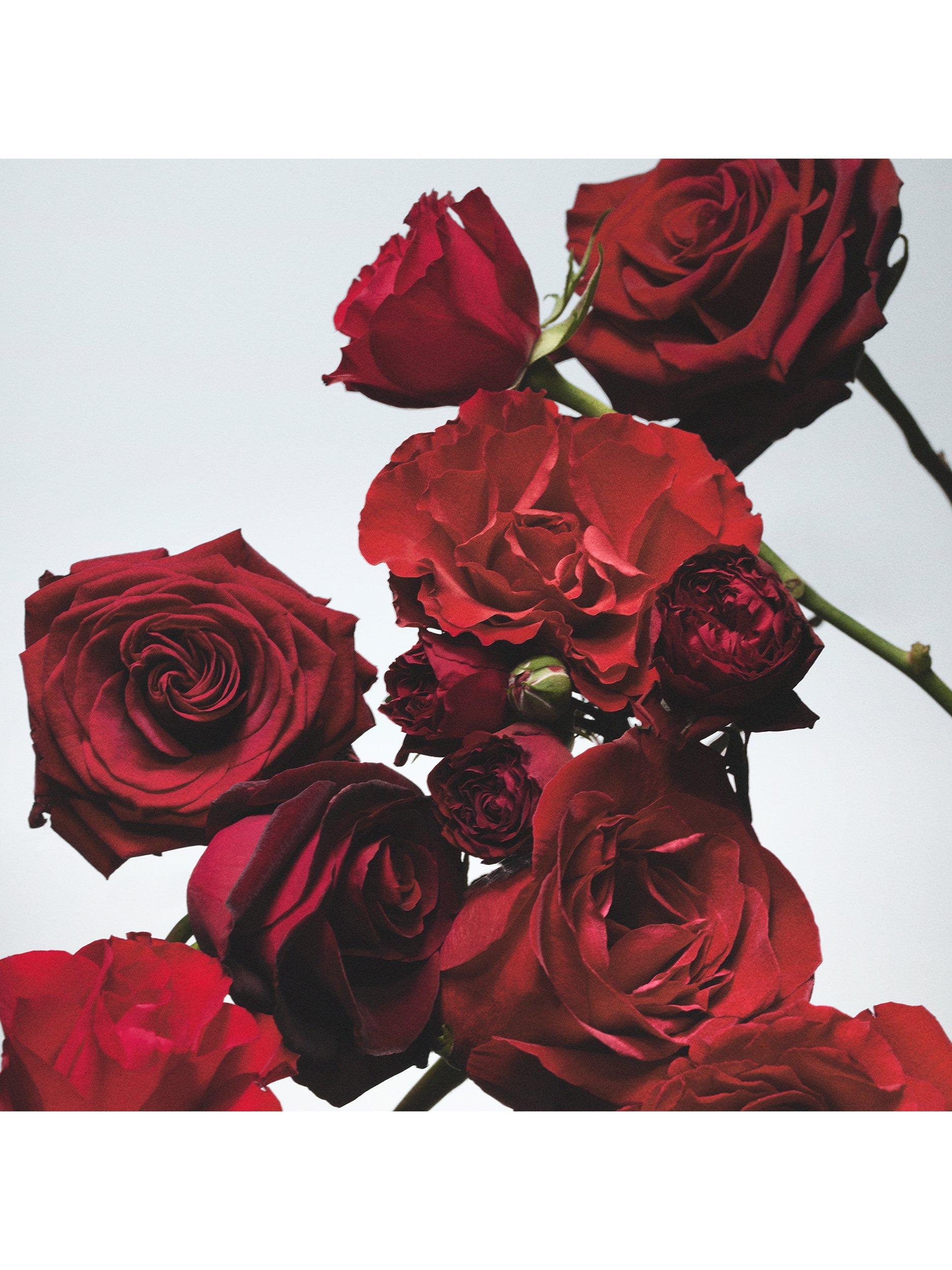 Jo Malone London Red Roses Bath Oil, 30ml - Sense42 Beauty and Health