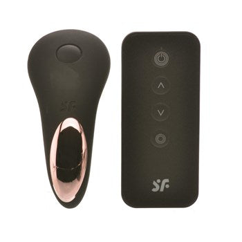 Satisfyer Little Secret Panty Vibrator