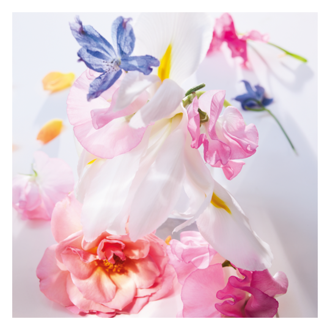 DIOR Miss Dior Eau de Parfum Spray - Sense42 Beauty and Health