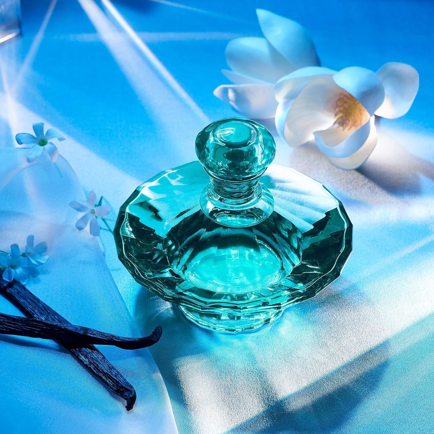 Britney Spears Curious Eau de Parfum 50ml Spray - Sense42 Beauty and Health