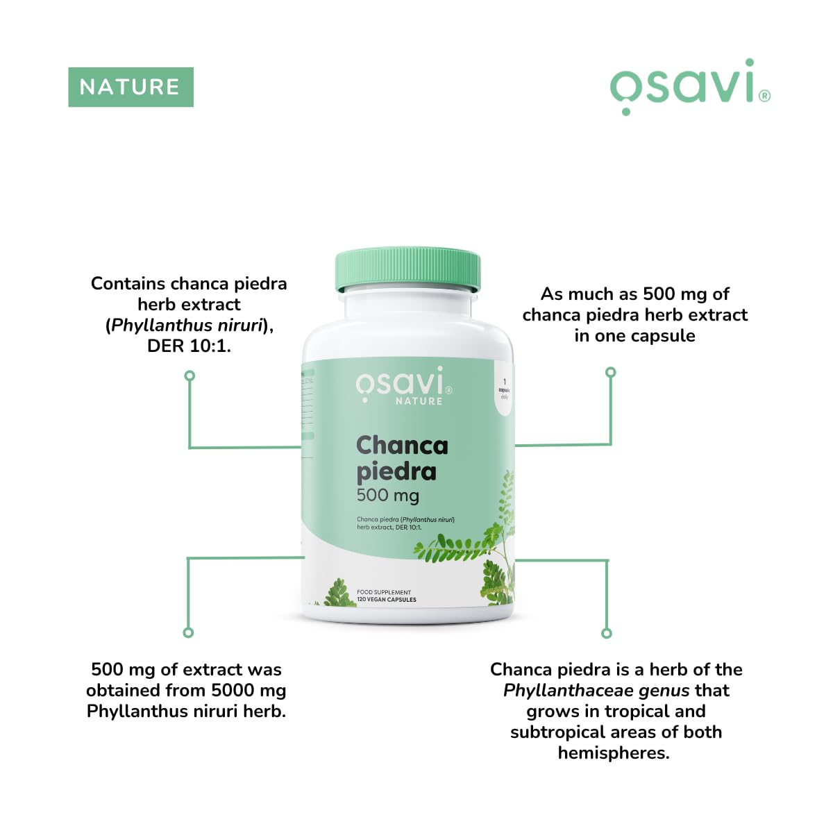 Osavi Chanca Piedra, 500mg - 120 Vegan caps