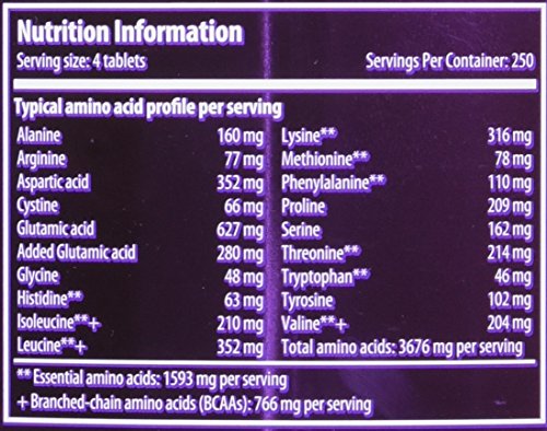 Scitec Nutrition Amino 5600 Amino Acid Formula Tablets - 1000 Tabs - Sense42 Beauty and Health