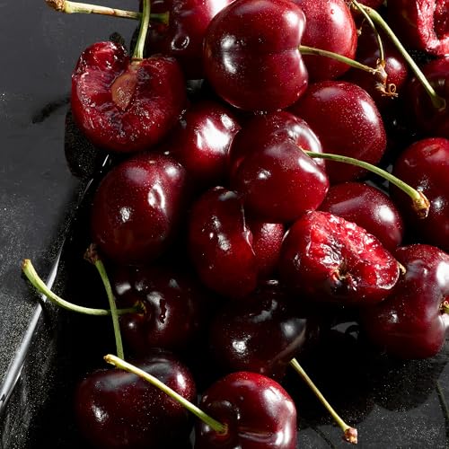 DOLCE & GABBANA Q Eau de Parfum Intense 100 ml - Sense42 Beauty and Health