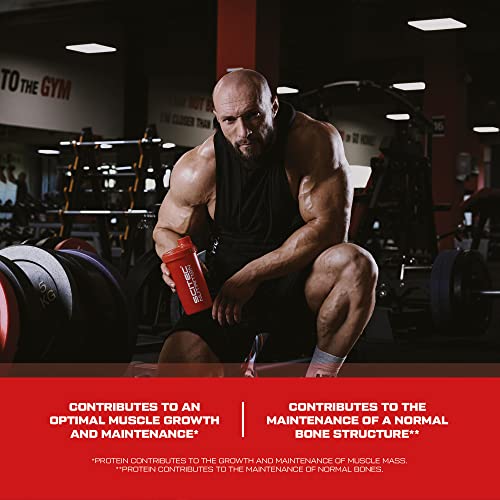Scitec Nutrition 100% Whey Protein Professional – Enhanced with Extra Amino Acids & Digestive Enzymes – Gluten-Free – Palm Oil Free, 500 g, Pistachio-White Chocolate