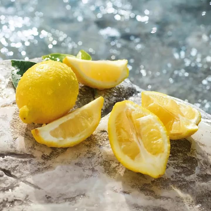 DOLCE & GABBANA Light Blue Set (Eau de Toilette 50ml + Body Cream 50ml) - Sense42 Beauty and Health