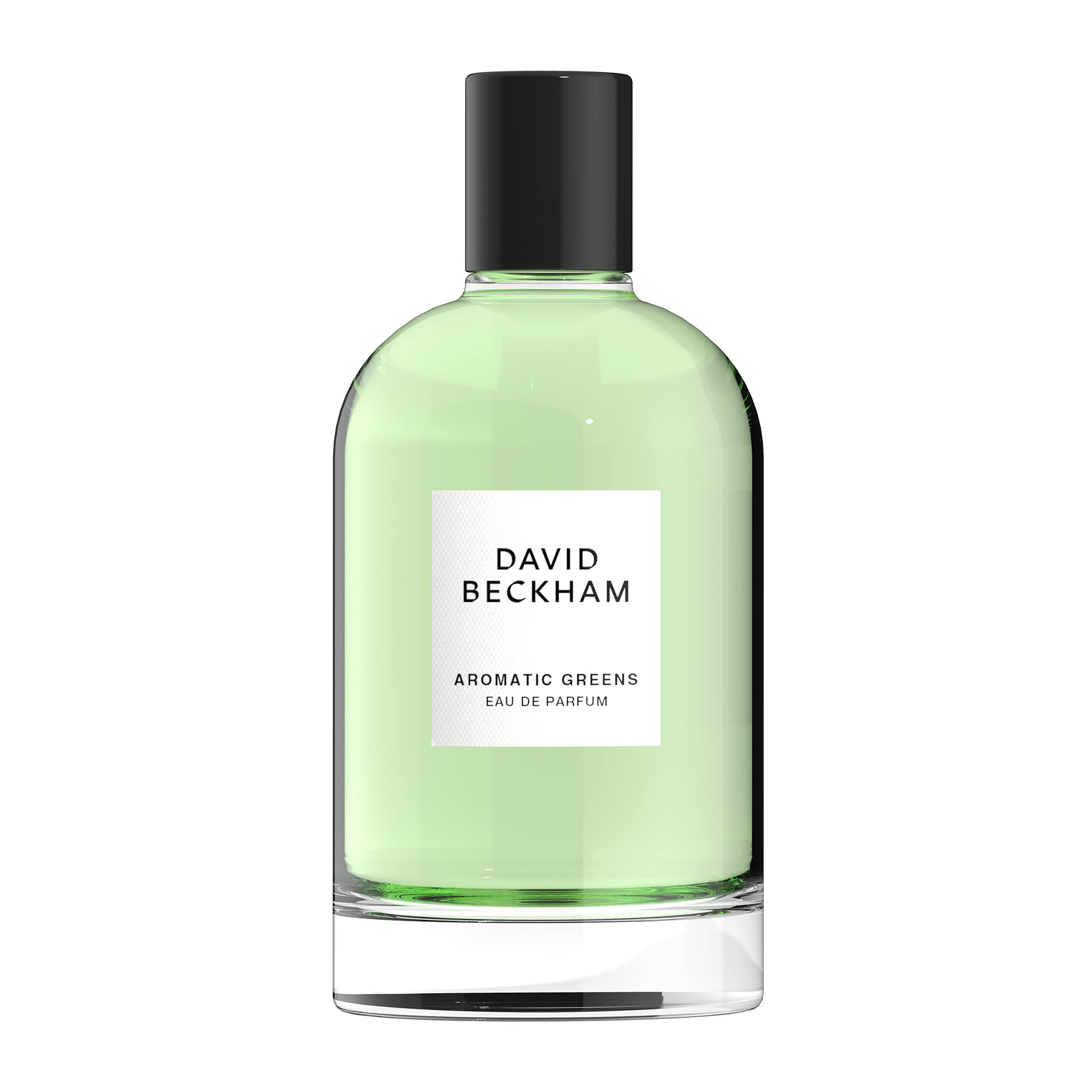 David Beckham Aromatic Greens Eau de Parfum 100ml Spray - Sense42 Beauty and Health