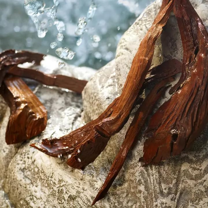 DOLCE & GABBANA Light Blue Set (Eau de Toilette 50ml + Body Cream 50ml) - Sense42 Beauty and Health